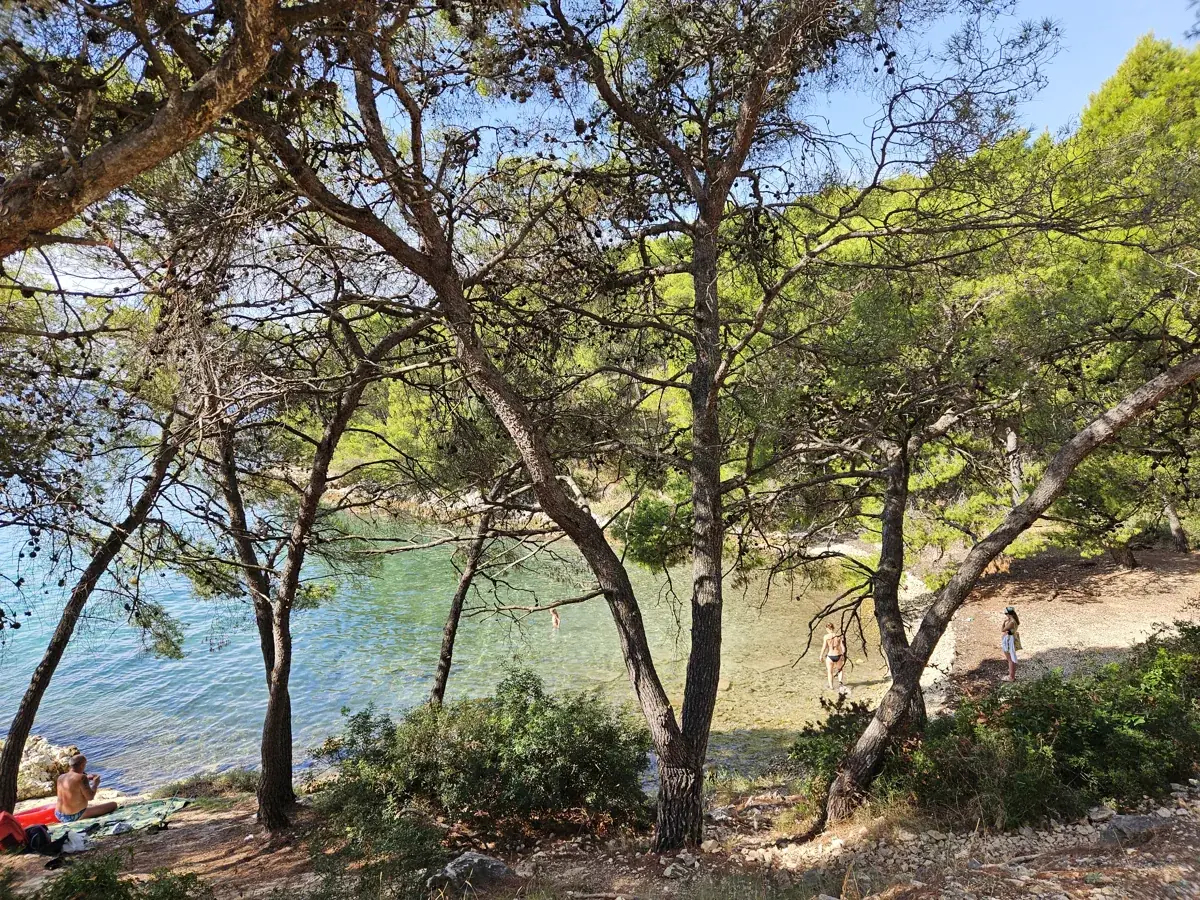 A quiet pebble cove with pines and clear, shallow water on Čiovo