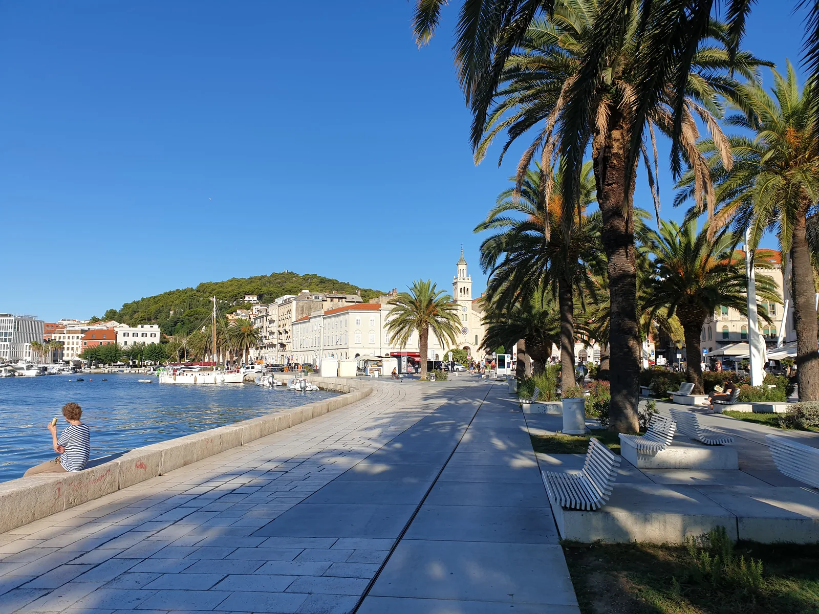 Hvar Town's palm-lined riva in the quiet of the morning