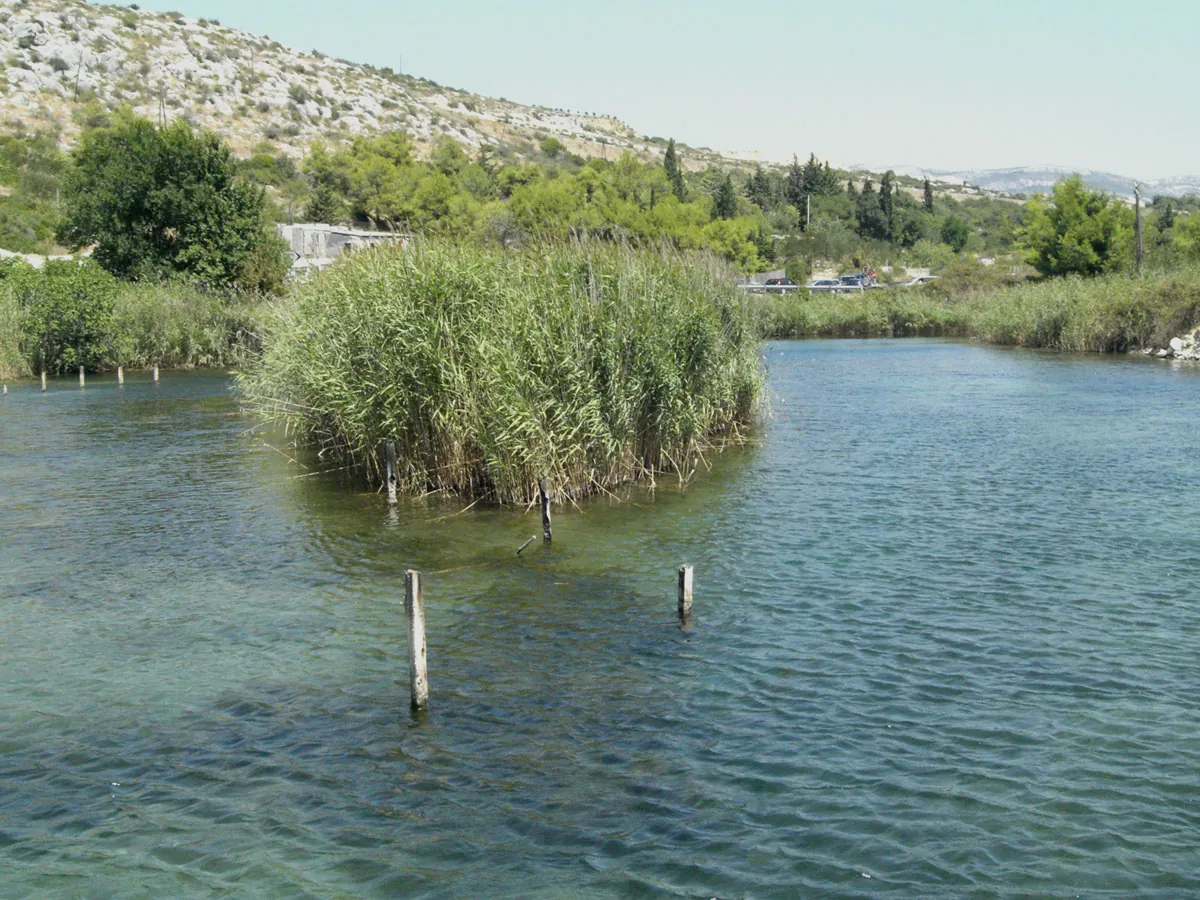 The flat, partly sandy beach at Pantan east of Trogir, where the river meets the sea by the nature reserve