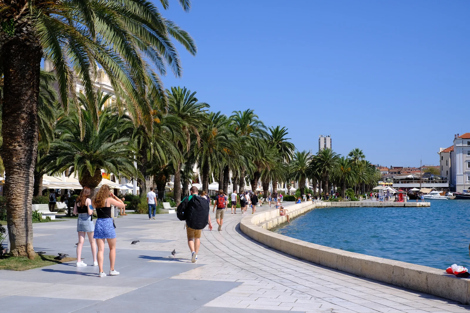 Split's palm-lined Riva promenade along the harbour front